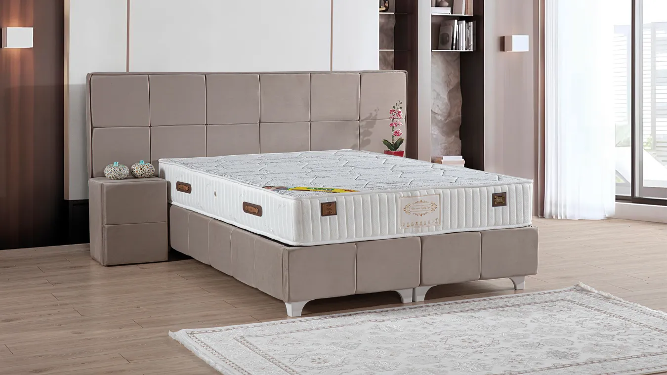 Quenn Concept | AF124006116